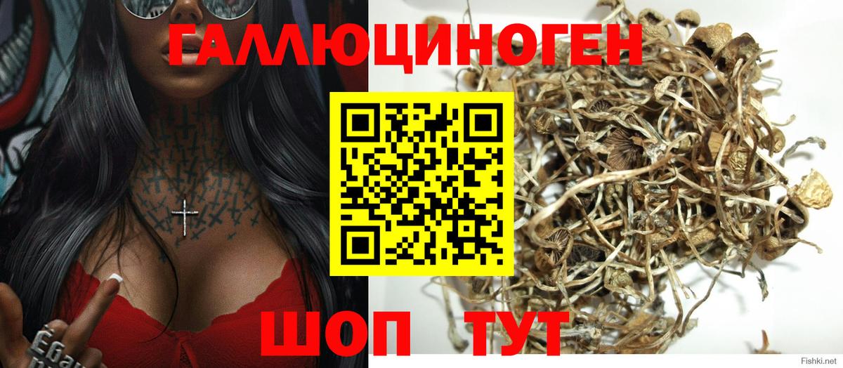 Псилоцибиновые грибы ЛСД  Вход с VPN  Псилоцибиновые грибы ЛСД  дарнет шоп  Красный Сулин 