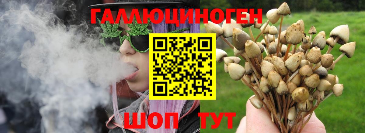 Галлюциногенные грибы мухоморы Красный Сулин